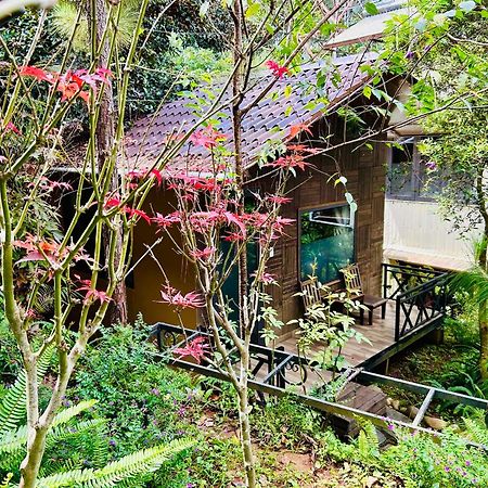 פלייקו Bazan Home - Hotel & Bungalow מראה חיצוני תמונה