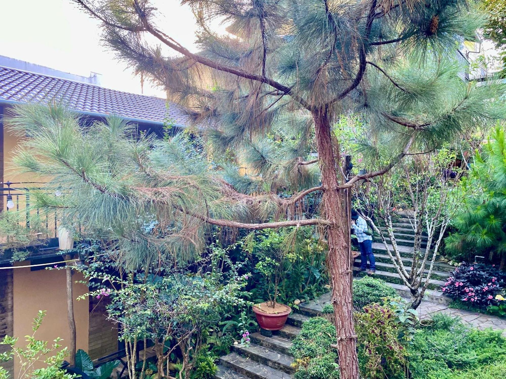 פלייקו Bazan Home - Hotel & Bungalow מראה חיצוני תמונה