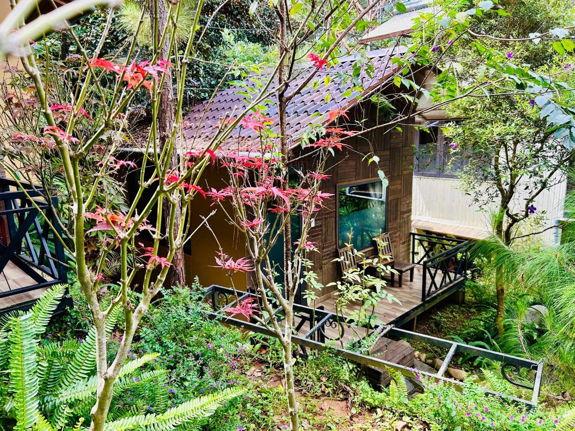 פלייקו Bazan Home - Hotel & Bungalow מראה חיצוני תמונה